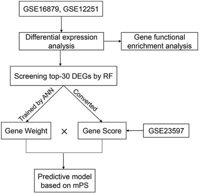 Novel Gene Signatures Predicting Primary Non-response to Infliximab in Ulcerative Colitis: Development and Validation Combining Random Forest With Artificial Neural Network